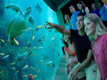 Grand Aquarium: Eintrittsticket & Tour