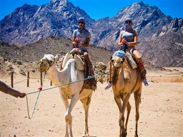 Quad-Safari - Tagestour zum Sahara-Park