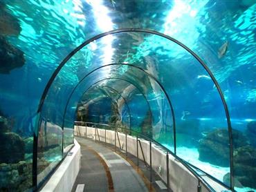 Grand Aquarium: Eintrittsticket & Tour